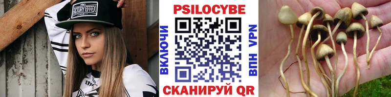 что такое наркотик  кракен ССЫЛКА  Псилоцибиновые грибы ЛСД  Глазов 