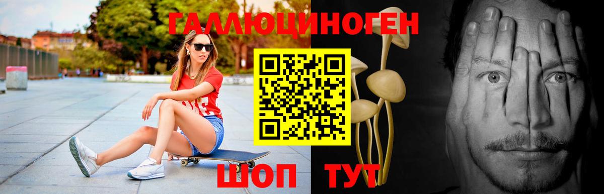 Галлюциногенные грибы MAGIC MUSHROOMS  Псилоцибиновые грибы Psilocybine cubensis  Вход с VPN  Глазов 