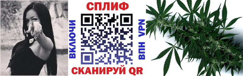 Шишки марихуана ГИДРОПОН  наркошоп  Глазов 